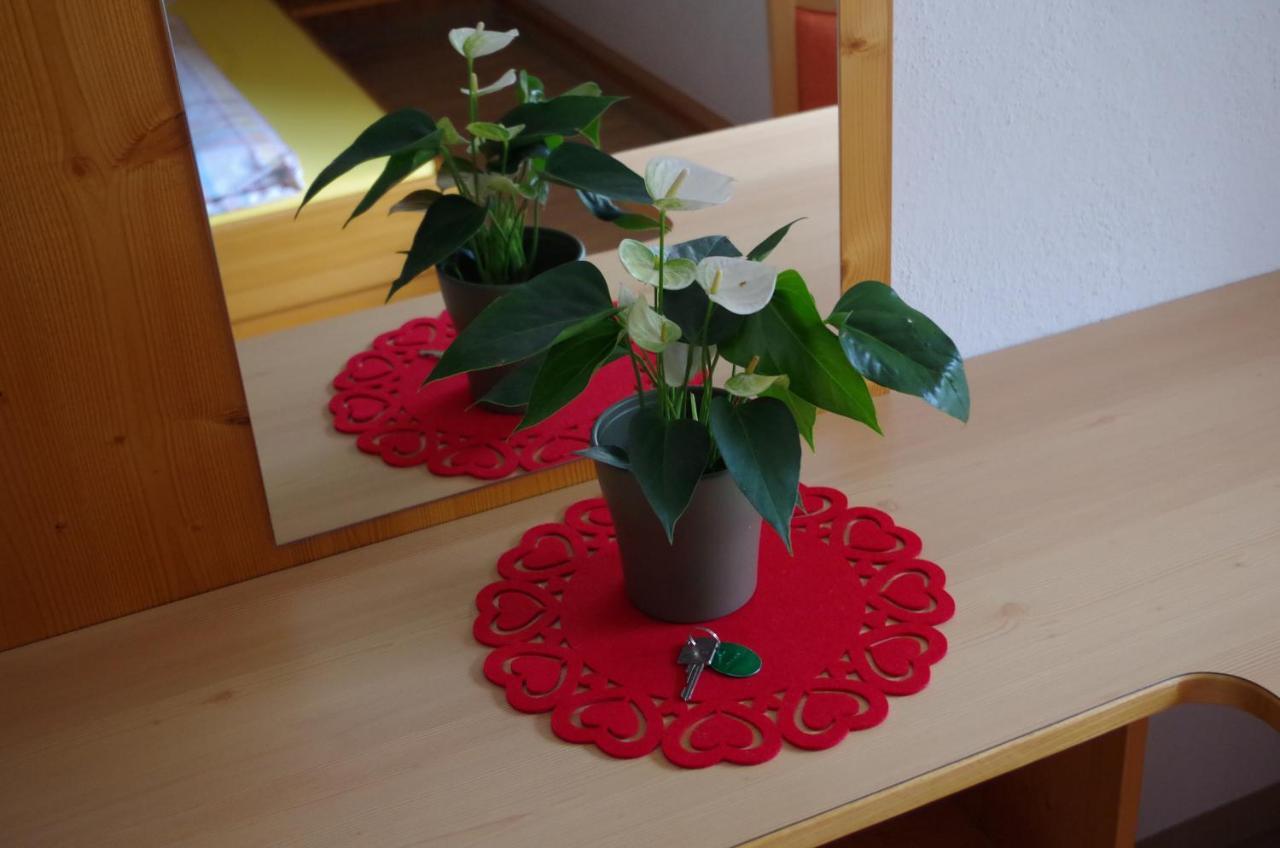 גלטור Sonnenkogel Appartement מראה חיצוני תמונה